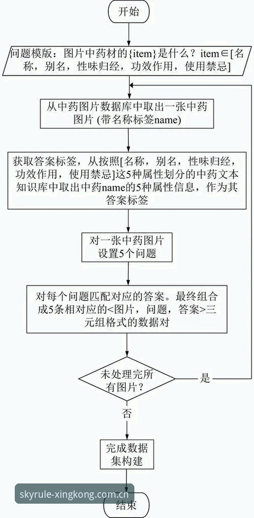 体育综合简体CN数据导出全流程说明