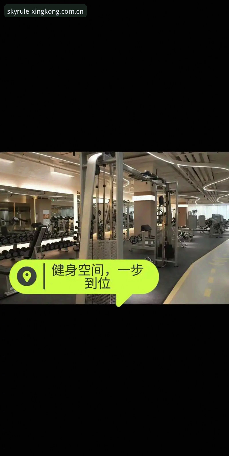 体育综合简体CN数据导出机制深度分析：从注册到同步的完整链路评测